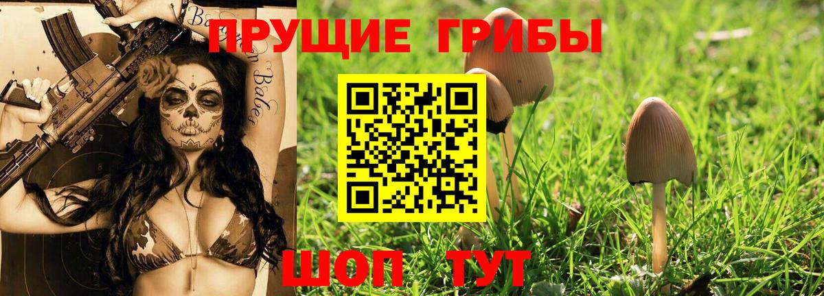 Псилоцибиновые грибы MAGIC MUSHROOMS Рассказово