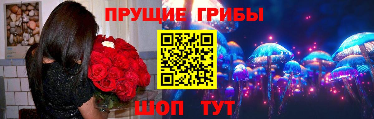 Псилоцибиновые грибы прущие грибы  Вход с VPN  Рассказово  Псилоцибиновые грибы мухоморы 